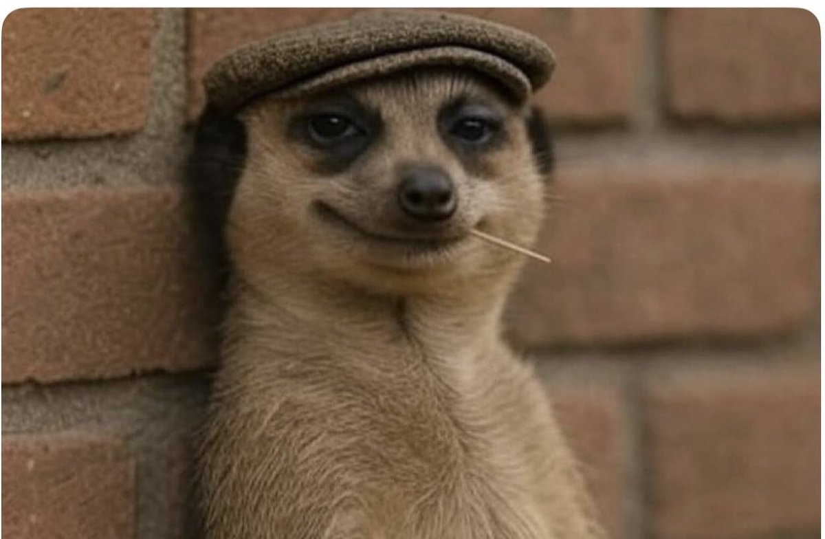 Immigrants: I will just stay on the settlement route, after 5 years I’d qualify and apply for ILR.

Kami Badenoch: