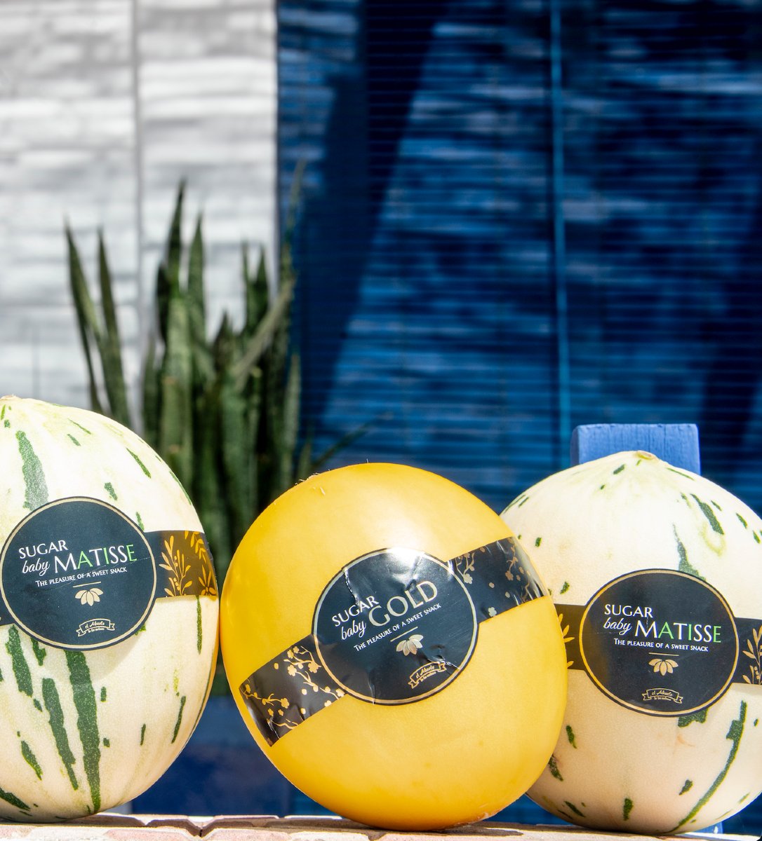 ☀️El verano sabe mejor con Melones el Abuelo
Jugosos, dulces y frescos para refrescar tus días de sol.
¡Disfruta cada bocado y cuida tu cuerpo!

#summer