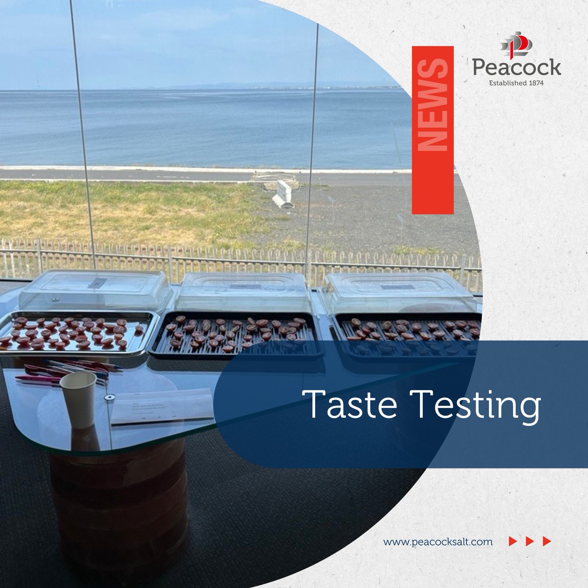 Taste Testing 🍅🧂
Our staff at our Ayr HQ have recently completed a panel taste test for our Saltsmith range! Taste testers tried 3 different blends of our reduced sodium range. This is part of our assurance of continuous improvement amongst our full product range.