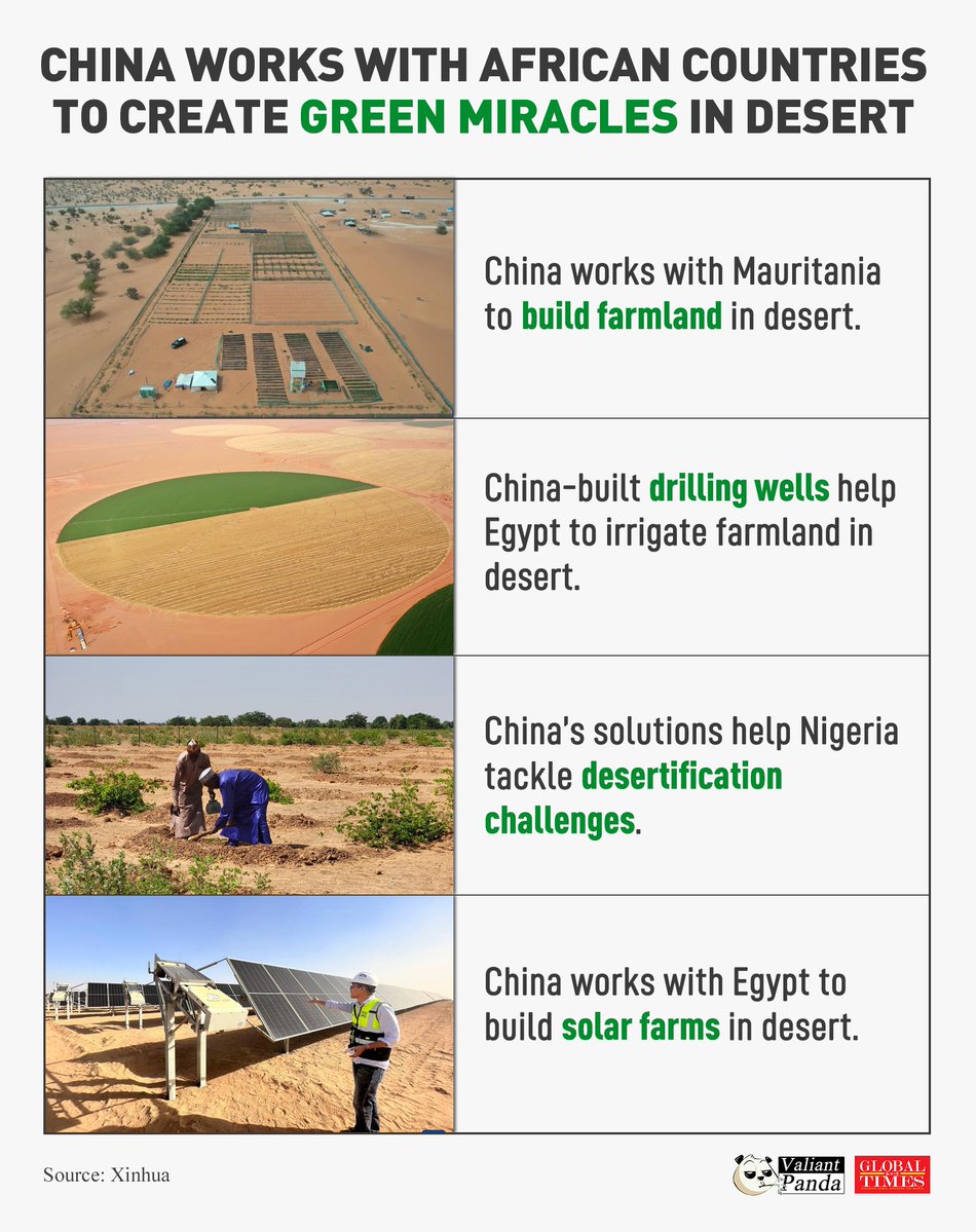 ChinaAmbUN's tweet image. China works with African countries to create green miracles in the desert.