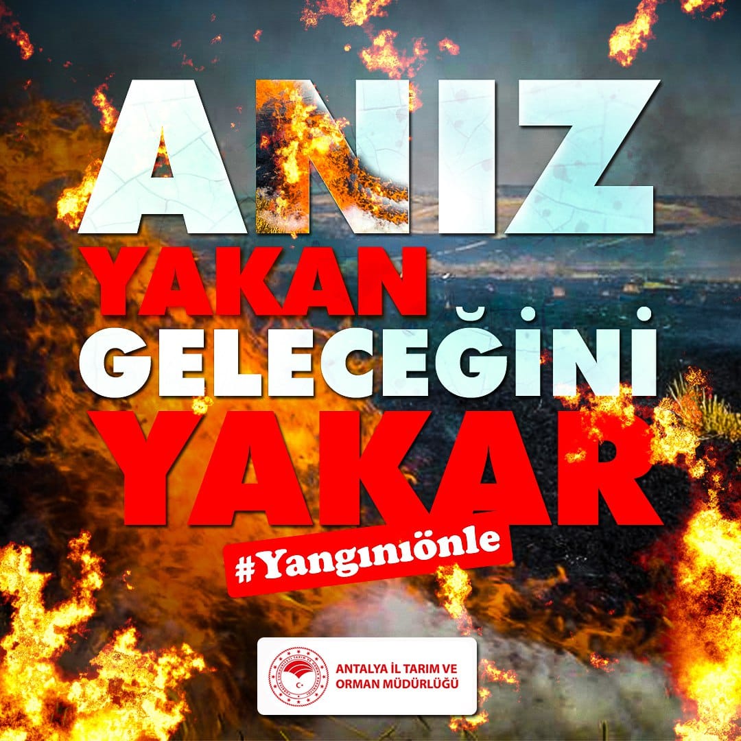 antalyailtarim's tweet photo. #Orman yangınına sebep olabilecek davranışlardan uzak duralım, ormanlarımızı hep birlikte koruyalım.
Kural basit;
❌Ateş yakma
❌İzmarit atma
❌Anız yakma Pişman Olma‼️
#OrmanıKoru #YangınıÖnle

@FratErkal @ibrahimyumakli https://t.co/aF3DBubXAP