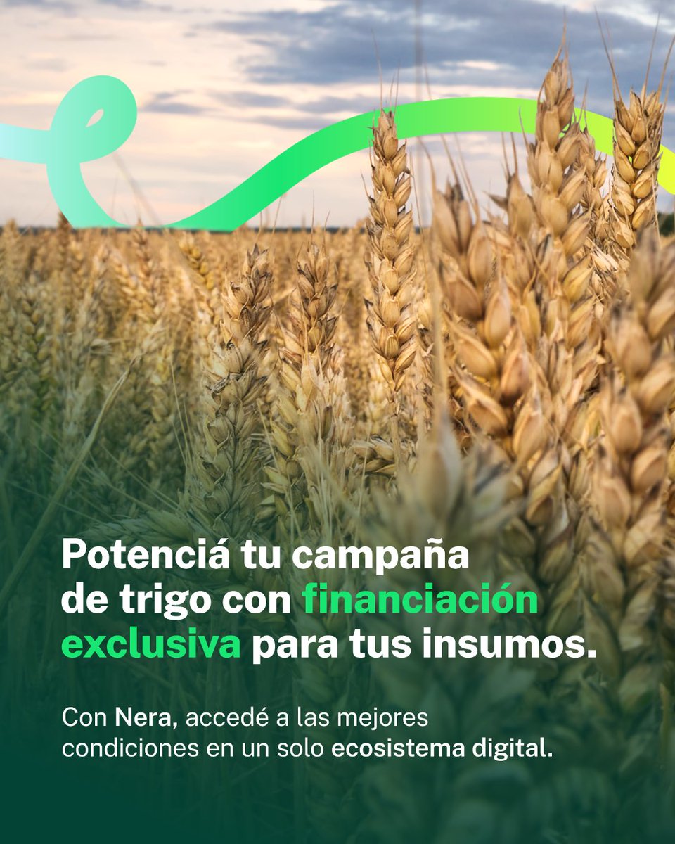 Conectamos decisiones con oportunidades.

Accedé a insumos de Bayer, Syngenta, Corteva y BASF, y gestioná la financiación con las condiciones exclusivas de Galicia, Santander, Comafi y BASF.

💡 Con Nera, hacé el click.

#CampañaTrigo #LaConexiónFinancieraDelAgro