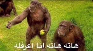 بنقزرها مع تودور وخلونا نخربها ونهايط هاتو  ريال مدريد🤣😅