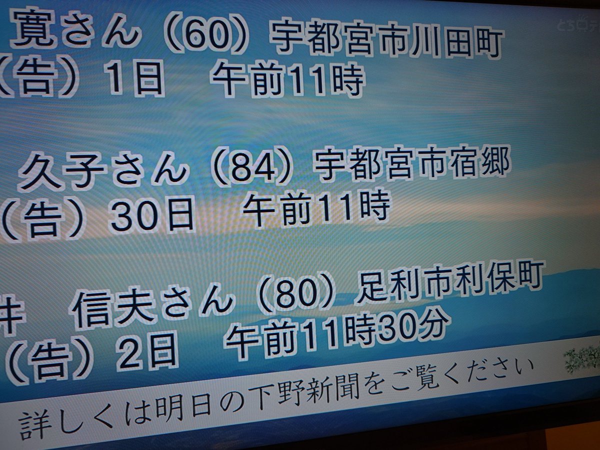 活動歴および当時の関連ビジュアル記録