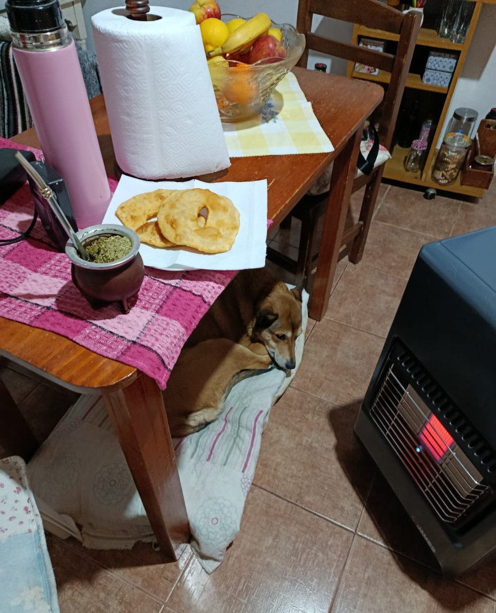 .<a href="/DespertateUy/">Despertate.</a> San José! 🔥