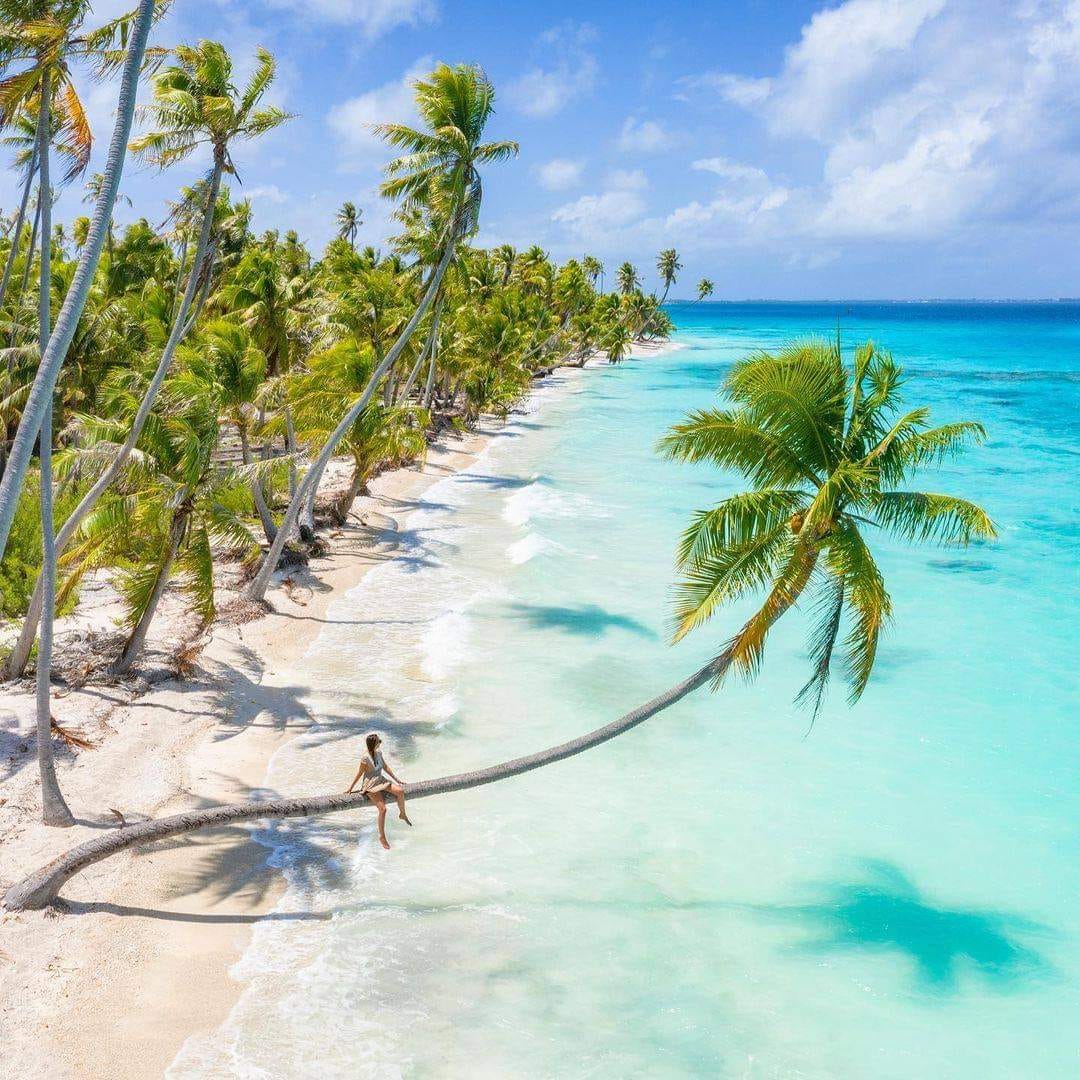 Beautiful nature scene and Tahiti Bora Bora of course.