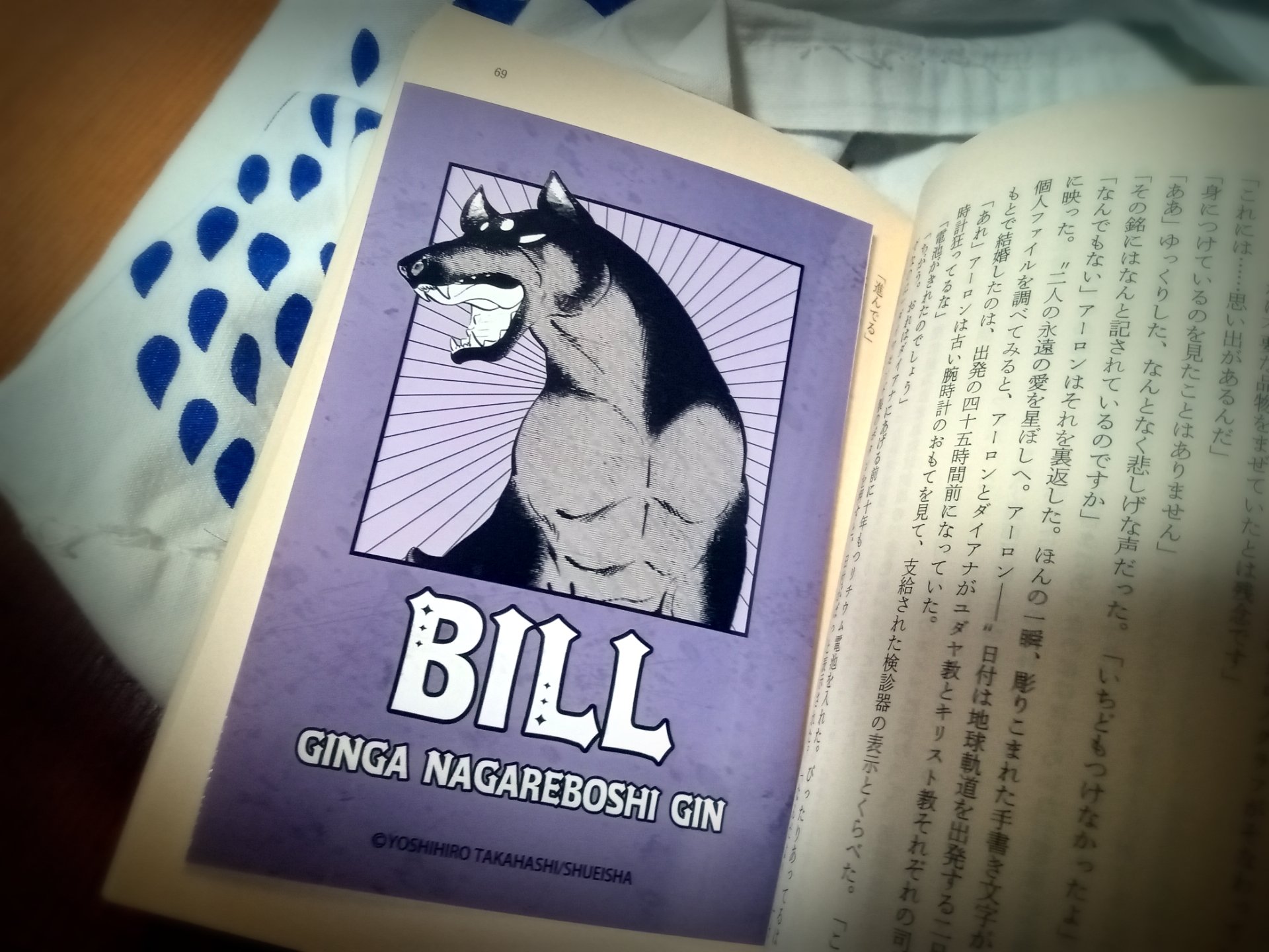 銀牙伝説ウィード 複製原画 非売品 箱付き