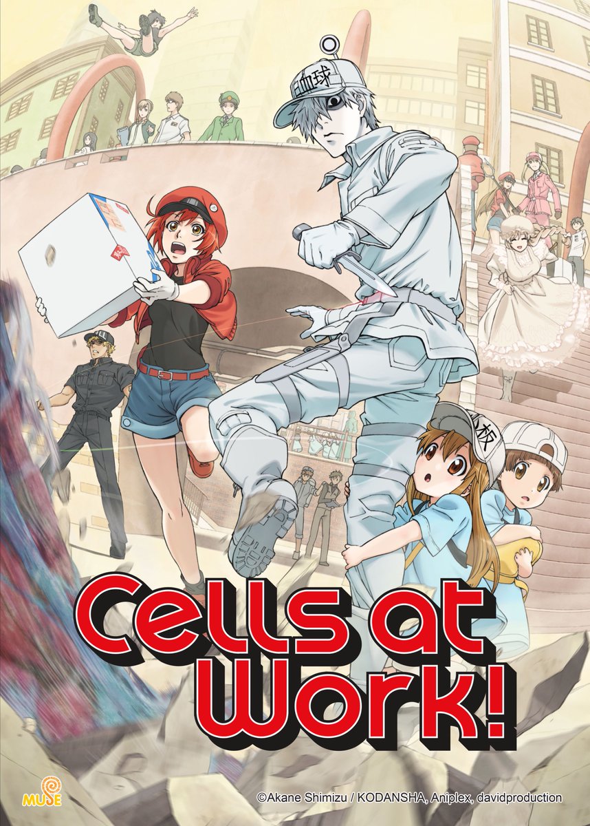 ⭐️ประกาศอัปโหลด 【เซลล์ขยันพันธุ์เดือด】

    สวัสดีครับทุกท่าน ในวันนี้แอดขอประกาศว่า Muse Thailand ของเราจะทำการนำอนิเมะ “เซลล์ขยันพันธุ์เดือด” แบบซับไทยตั้งแต่วันนี้เป็นต้นไป ทุกวัน เวลา 18:30 ด้วยนะ 

แชแนล Muse Thailand : @MuseThailand
#muse #musethailand