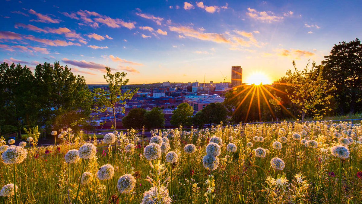 Urban_Inst's tweet image. 🌍 The Sheffield Urbanism Showcase
🗓️ Tuesday, 1st July
🕰️ 9:00am to 4:30pm
A showcase to celebrate and profile just some of the incredible urban research we undertake across disciplines in the Faculty of Social Sciences here at Sheffield.
sheffield.ac.uk/urban-institut…