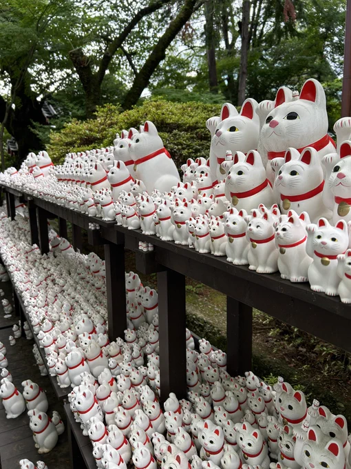 招き猫で有名な豪徳寺に行った!外国人多過ぎるw招き猫購入は1人1個制限… 念願の旧尾崎テオドラ邸 この美しい洋館が失われずギャラリー&amp;カフェとして健在な事に感謝 かくかくしかじか展のため原作を読み映画も観た…東村先生の原画初めて見たけど想像を超えて絵が上手い!やっぱプロって凄いなあ