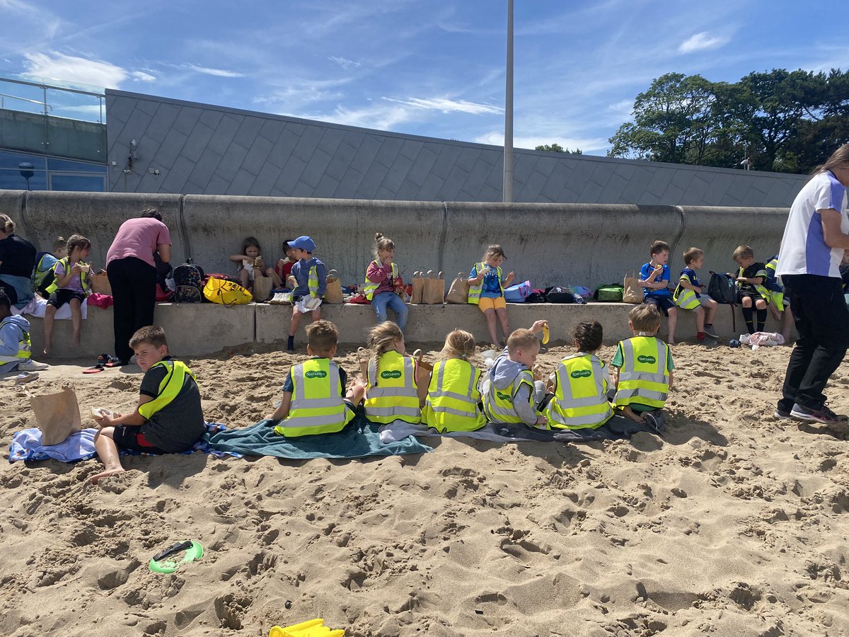 DeePointEarth's tweet photo. Feeding time on the beach. @DeePointPrimary https://t.co/qEPcNl2oW1