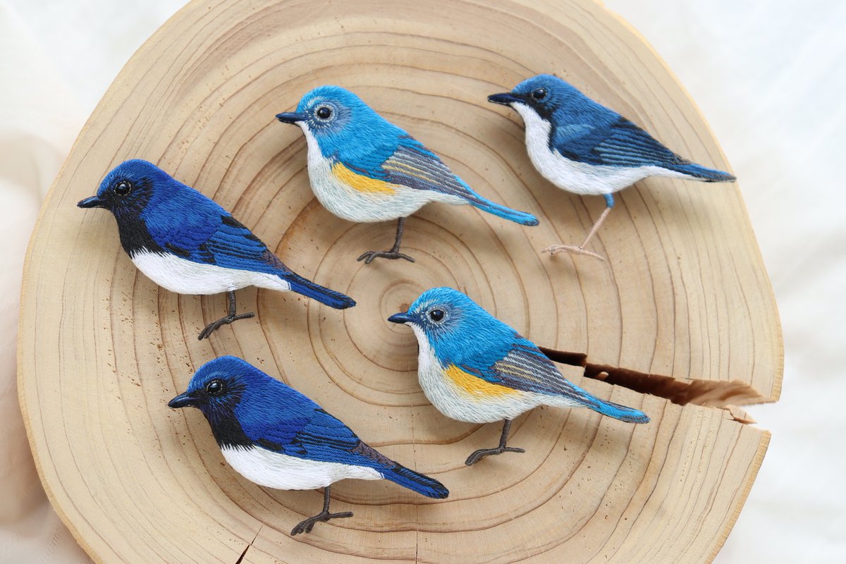 青い鳥たち集めました🐦🐦🐦 6月28日(土)20時からオオルリ・コルリ