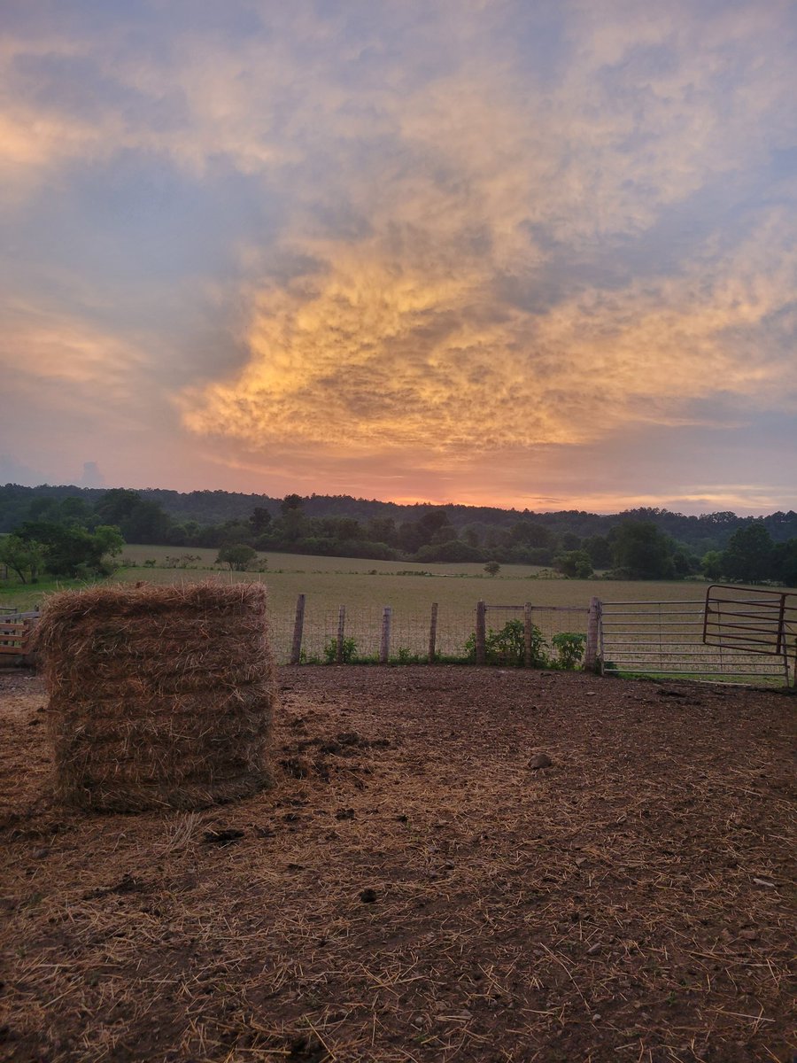 ImmaSouthpaw tweet media