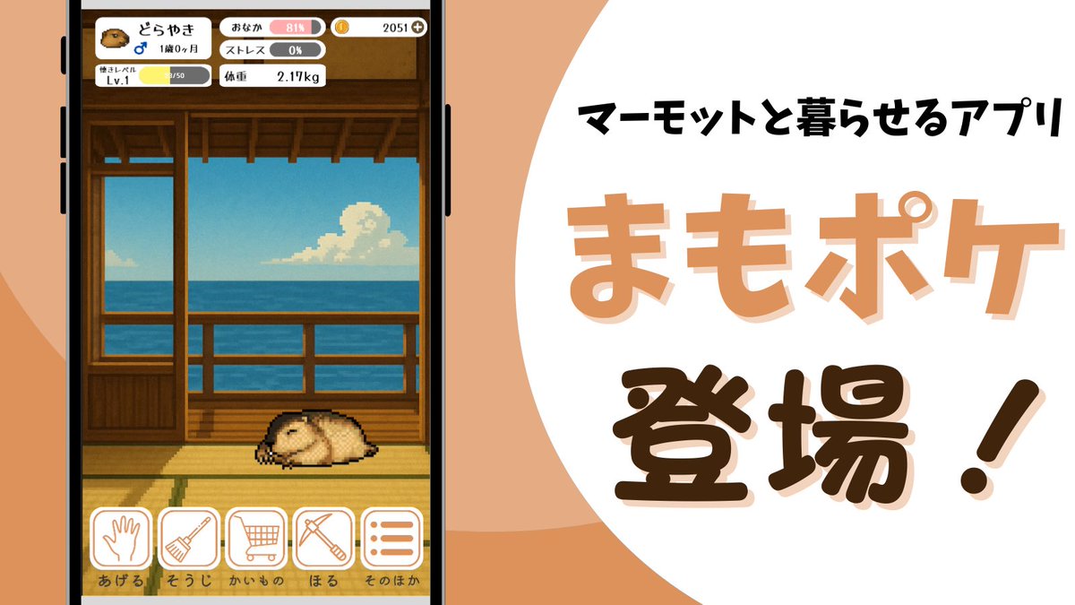 MarmoPocket's tweet image. 【📢配信予定日のお知らせ】

/
遊ぶもよし、ごはんをあげるもよし。
あなただけのマーモットと暮らそう！
\

マーモット飼育アプリ「まもポケ」🦫
2025/7/10(木)にiOSアプリで配信開始予定！

リポスト&amp;amp;いいね で拡散してください‼️

■ハッシュタグは #まもポケ で呟いてね‼️

#マーモット #marmot