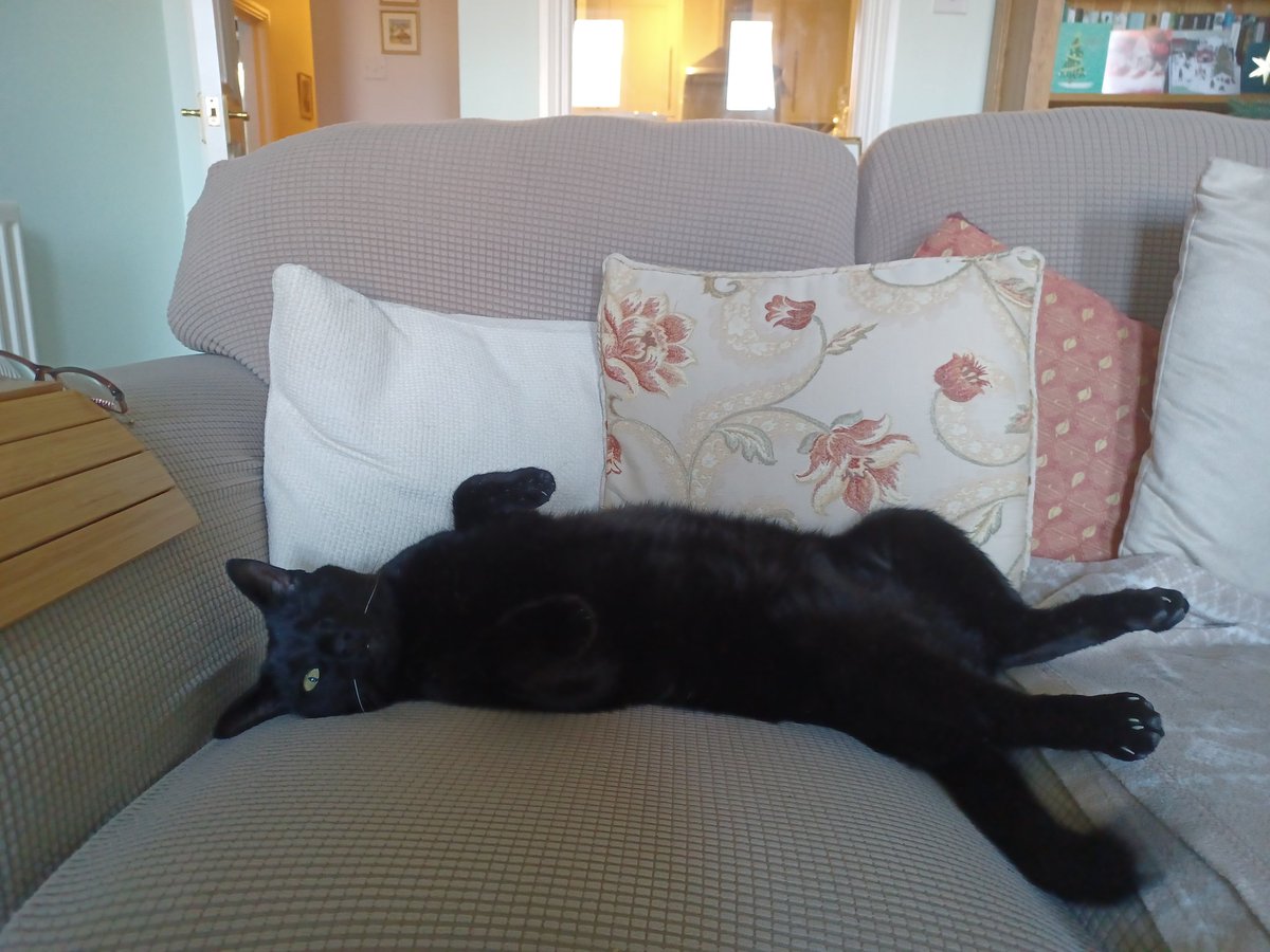 This #jellybellyfriday I'm definitely joining in, 'cos it's getting so warm! Phew, that feels better.🐈‍⬛😺