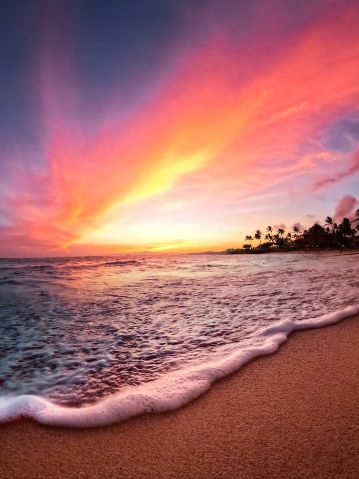 Photo of the Day
空が燃えているかのようなドラマチックなサンセット。
Shane Benton が #GoProHERO13 Black でとらえた #GoProYourSummer の瞬間。

GoProで撮ったお気に入りの作品を応募しよう 👉 GoPro.com/Awards