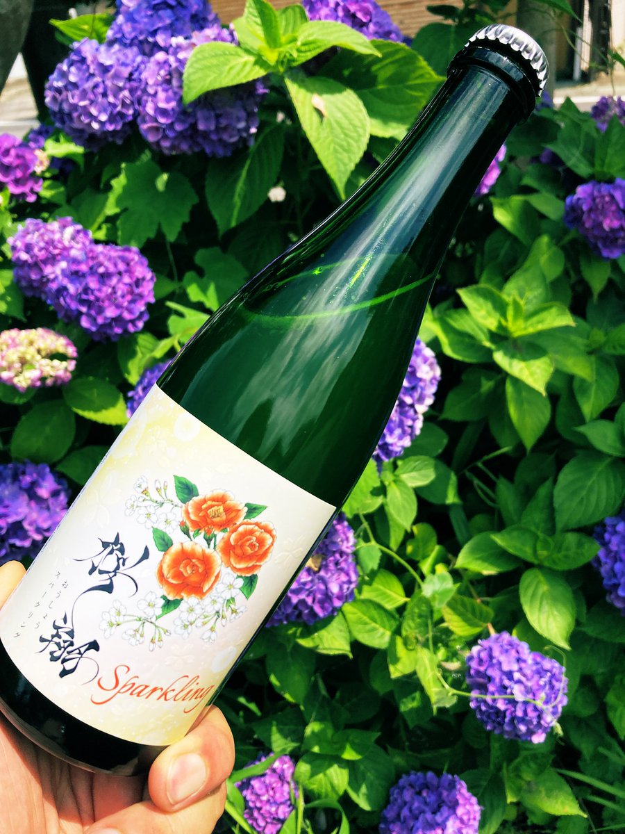 512my57△紹巴織 鹿の子流水桜吉祥文 枝垂桜 牡丹 松 菊竹 洒落袋△美品 華金大好き！金曜担当O島です なんと！ 大人気「桜翔」シリーズに