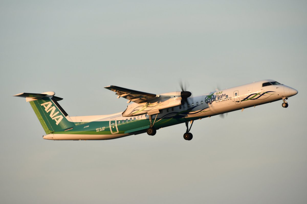 Dash828_'s tweet photo. 2025/06/27 RJFO/OIT
All Nippon Airways (ANA WINGS)
Bombardier DHC-8-402Q Dash 8
JA461A
ANA Future Promise Prop

Nikon D500で撮影

#大分空港 #ANA #ANAWINGS #DH8D #JA461A #ANAFuturePromiseProp #ANAFuturePromise #ボンバル https://t.co/VmWPwDaWGT