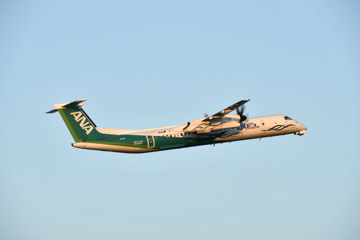 Dash828_'s tweet photo. 2025/06/27 RJFO/OIT
All Nippon Airways (ANA WINGS)
Bombardier DHC-8-402Q Dash 8
JA461A
ANA Future Promise Prop

Nikon D500で撮影

#大分空港 #ANA #ANAWINGS #DH8D #JA461A #ANAFuturePromiseProp #ANAFuturePromise #ボンバル https://t.co/VmWPwDaWGT