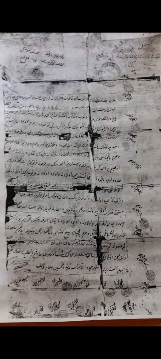 عماد المرزوق ابو عبدالله tweet media