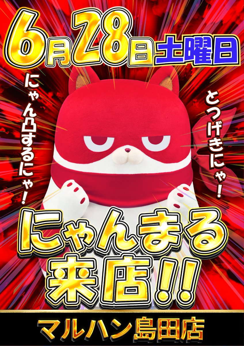 にゃんまる来店】 明日28日(土)はなんと5店舗！ 浜松泉店、村松店