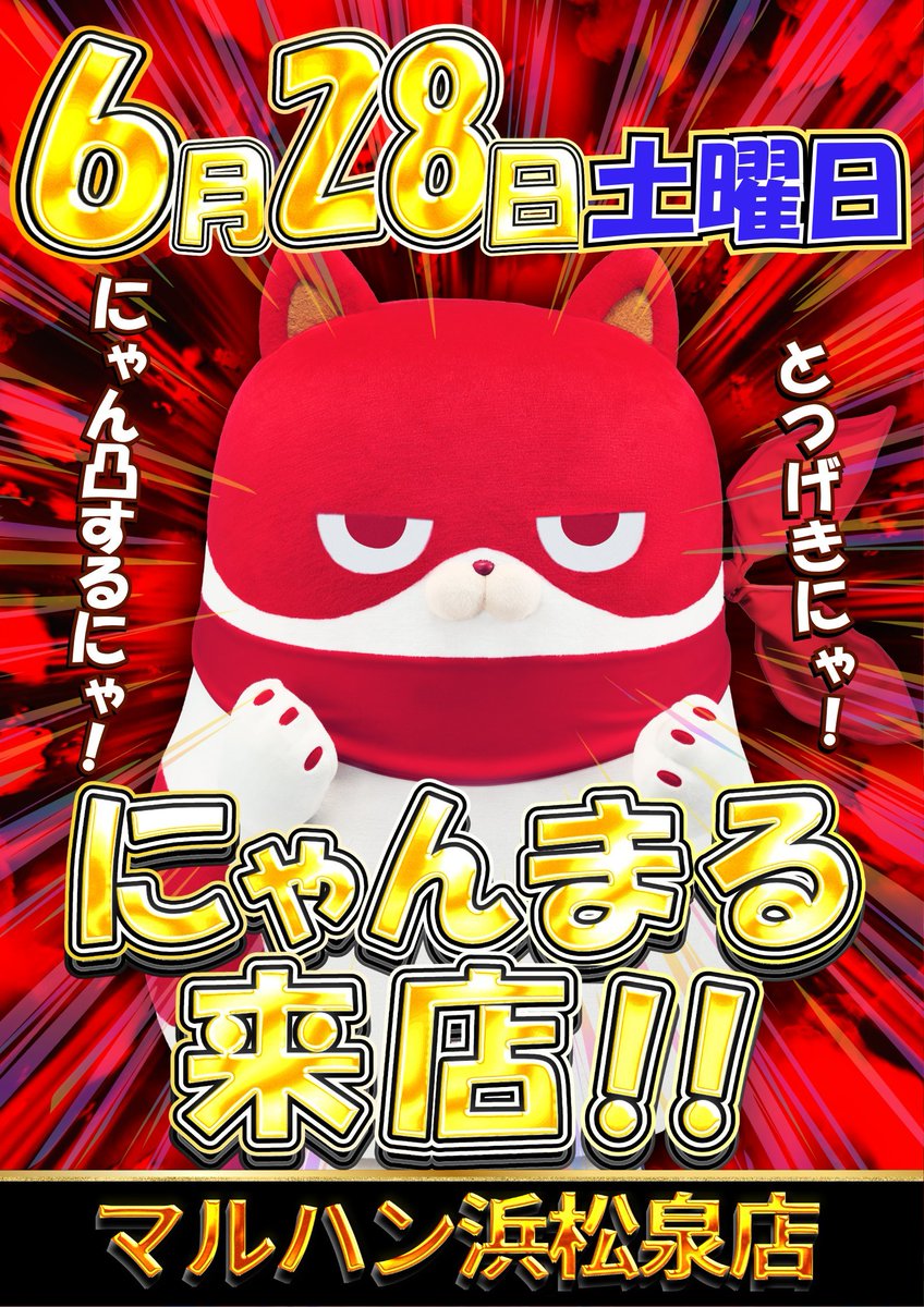 にゃんまる来店】 明日28日(土)はなんと5店舗！ 浜松泉店、村松店