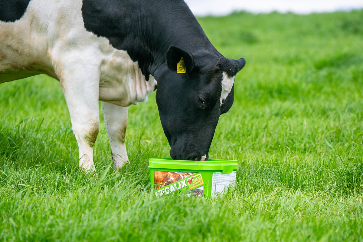 Scotmin Nutrition tweet media