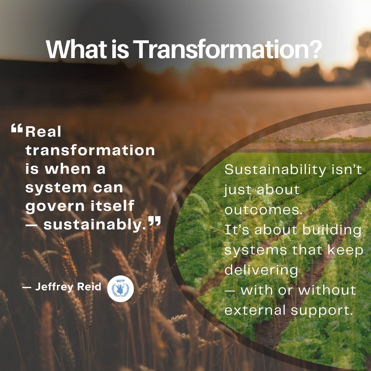 African Agricultural Transformation Initiative tweet media