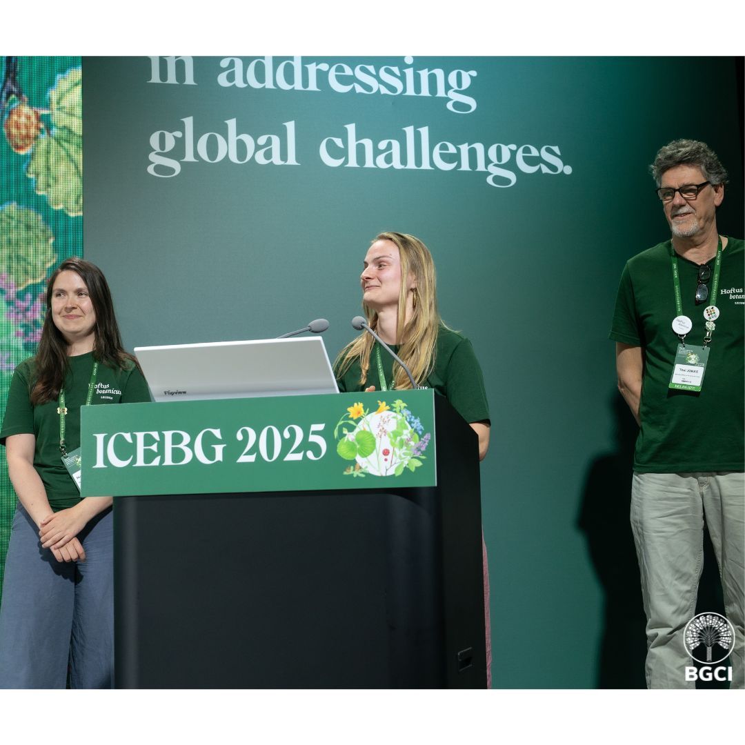 bgci's tweet image. And the 12th ICEBG congress will be in 🥁 .........

Hortus botanicus Leiden in the Netherlands 🎉!! Please join 3-7 July 2028.
Have a peek preview buff.ly/1BUISa6 

#11ICEBG #ICEBG2025 #BotanicGardenEducation #GlobalPlantConservation #InternationalCollaboration
