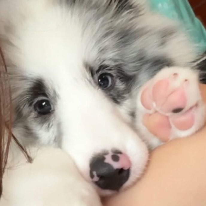 คิดถึงมังงุ้ดอะ 🥺