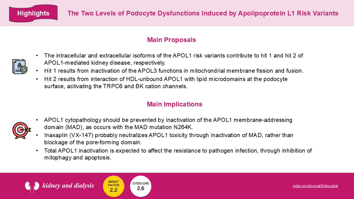Kidney and Dialysis (@kidneydial_mdpi) on Twitter photo π’Interesting Review Paper in Our Journal <a href="/Kidneydial_MDPI/">Kidney and Dialysis</a>
<a href="/ULBruxelles/">UniversitΓ© libre de Bruxelles</a>
πThe Two Levels of #Podocyte #Dysfunctions Induced by #Apolipoprotein L1 Risk Variants
πΏRead and download for free: mdpi.com/2673-8236/4/2/β¦
#APOL1 #nephropathy #hit #mitophagy #apoptosis π’Interesting Review Paper in Our Journal <a href="/Kidneydial_MDPI/">Kidney and Dialysis</a>
<a href="/ULBruxelles/">UniversitΓ© libre de Bruxelles</a>
πThe Two Levels of #Podocyte #Dysfunctions Induced by #Apolipoprotein L1 Risk Variants
πΏRead and download for free: mdpi.com/2673-8236/4/2/β¦
#APOL1 #nephropathy #hit #mitophagy #apoptosis
