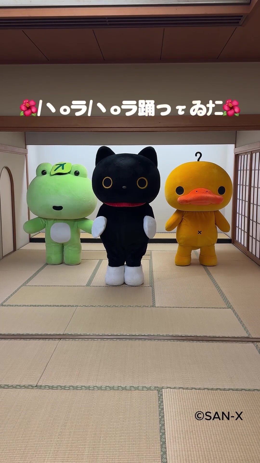 靴下にゃんこ ねこ サンエックス 平成レトロ 女児 ファイル 約30点 Amazon | 靴下にゃんこ ~白い靴下をはいた猫とくらしはじめまし