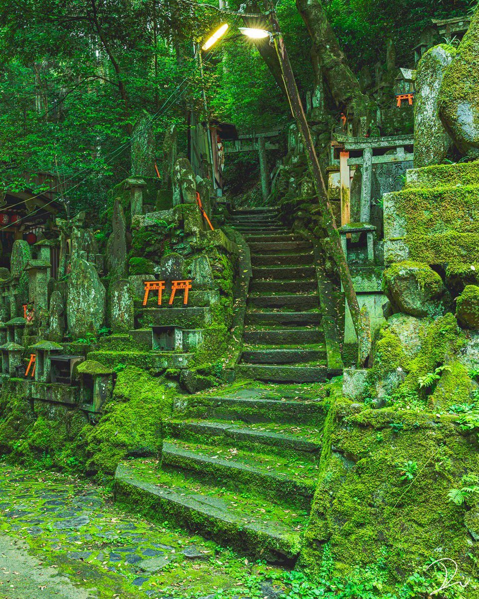 神隠しに合いそうな苔むした神社