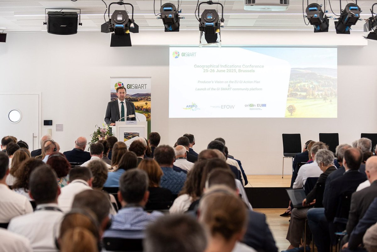 🆕Las #DenominacionesdeOrigen de vino participan en Bruselas en una conferencia para definir el futuro de las indicaciones geográficas.
🔗goo.su/zElB
#vino #vinoDo #Bruselas
