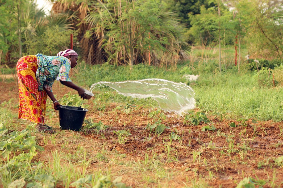 How do countries deal with climate adaptation within the Paris Agreement? 🤔

1️⃣ Assessing impacts, vulnerability, risks, and resilience;
2️⃣ Planning for adaptation
3️⃣ Implementing adaptation measures
4️⃣ Monitoring and evaluating adaptation

Learn more👇
unccelearn.org/mod/scorm/view…