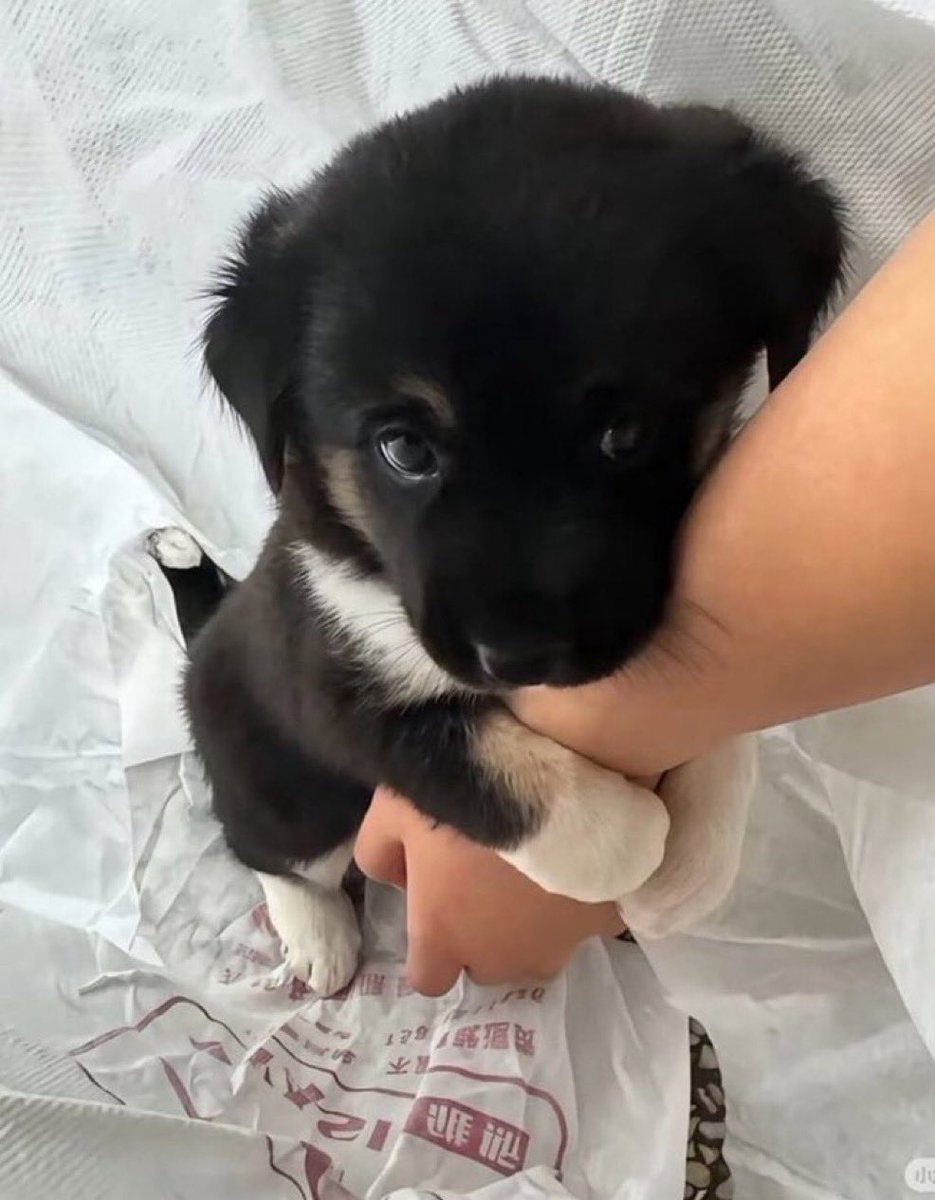 sa1tyboy's tweet image. 어디도망못가게꽉잡아둬야지…..🤝🏻