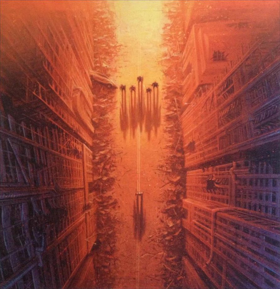 Robin Levy tweet media