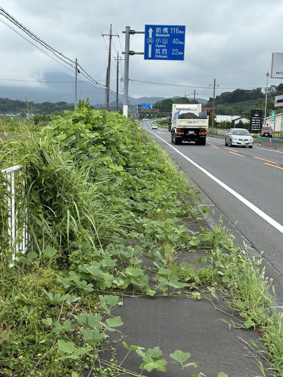 田舎あるある

歩道はあっても通行不可