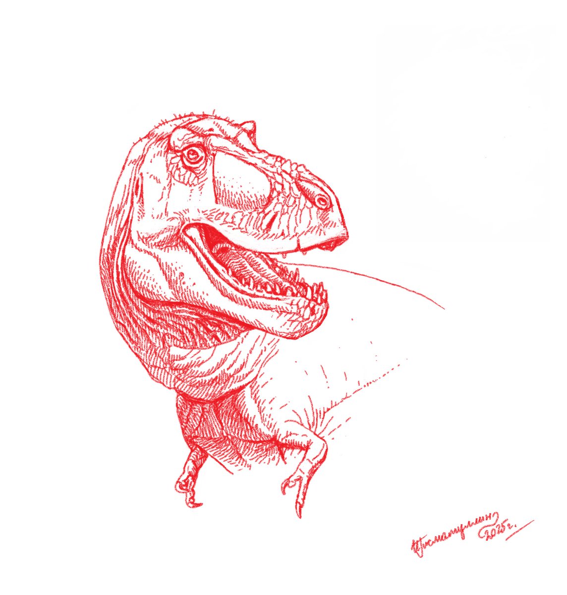 ildarotyrannus's tweet image. Red sketch of Tyrannosaurus rex with exoparia, a recently found soft tissue in cheek region. This structure  probably stabilized jaw during feeding. Similar tissues were found in extant chickens and could be present in many non-avian dinosaurs. Done in Paint.

#paleoart