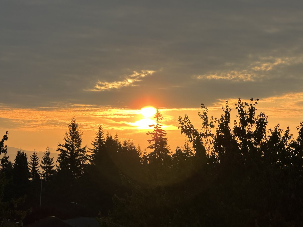 A great good morning to you!
💫🎯

🌿Enjoy your morning 😊