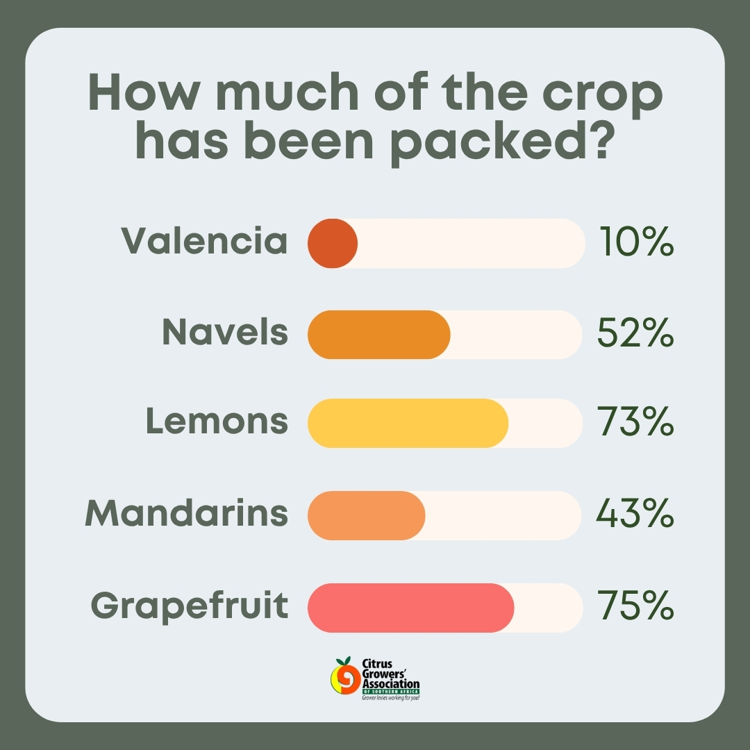 Citrus Growers Association South Africa tweet media
