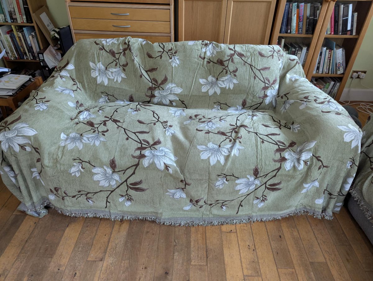 LynnBry29527024's tweet photo. In a rare domesticated post for me, I ordered new sofa covers for my study and am dead pleased with them. They look nicer than the mismatched tatty blankets I've used for years and the dogs look very decorative on them... #WritingWithLabradors #OscarAndAlfie https://t.co/NhS3gqSsCv