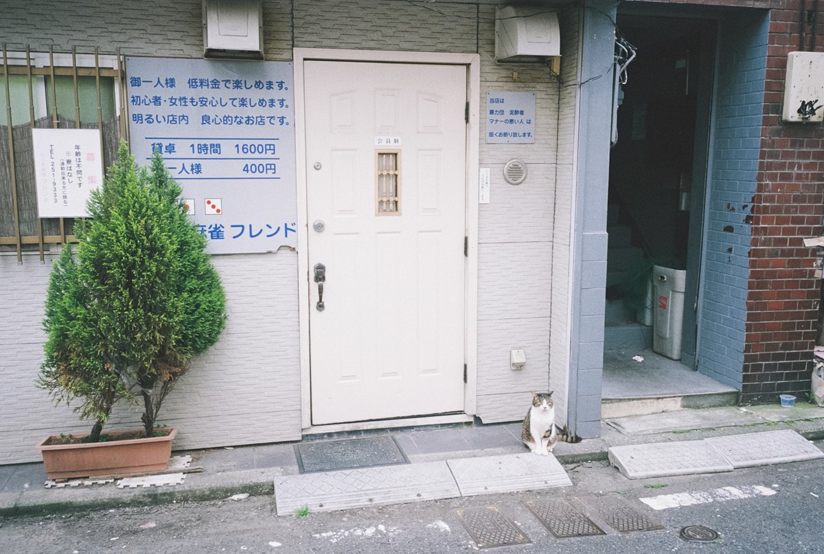 _wairo's tweet photo. 横浜 福富町 https://t.co/GUkzotNJMv