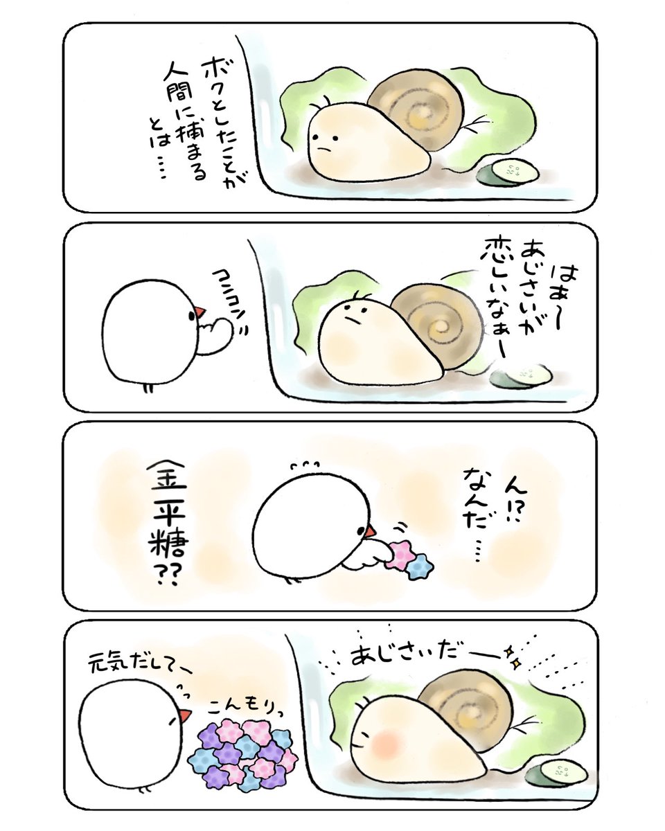 かたつむりとぶんちょ 