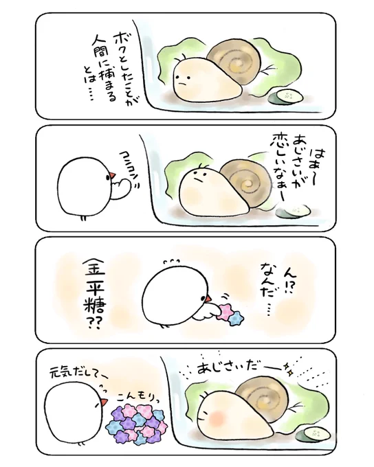 かたつむりとぶんちょ 