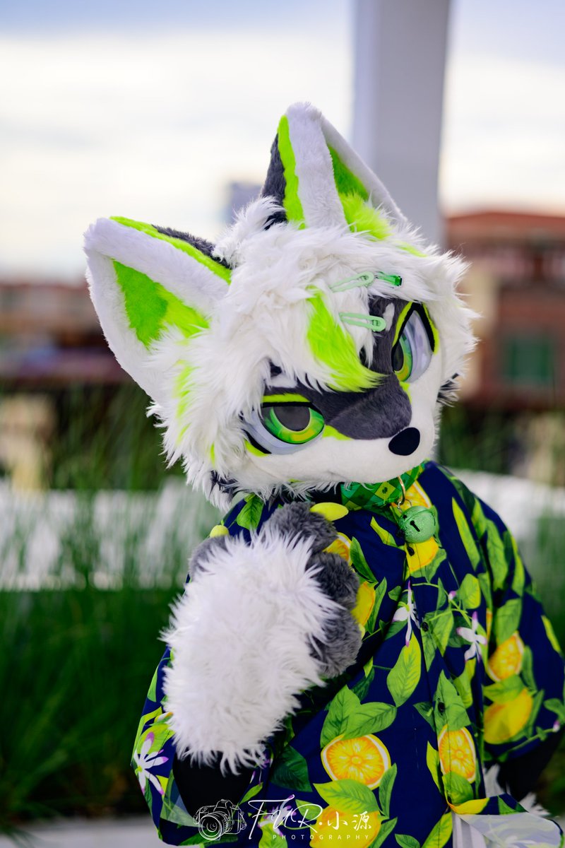 小妞，挺不赖的嘛～
要来喝一杯吗？

📷：小源 
🐺：比尔盖子SergySonono
#FursuitFriday