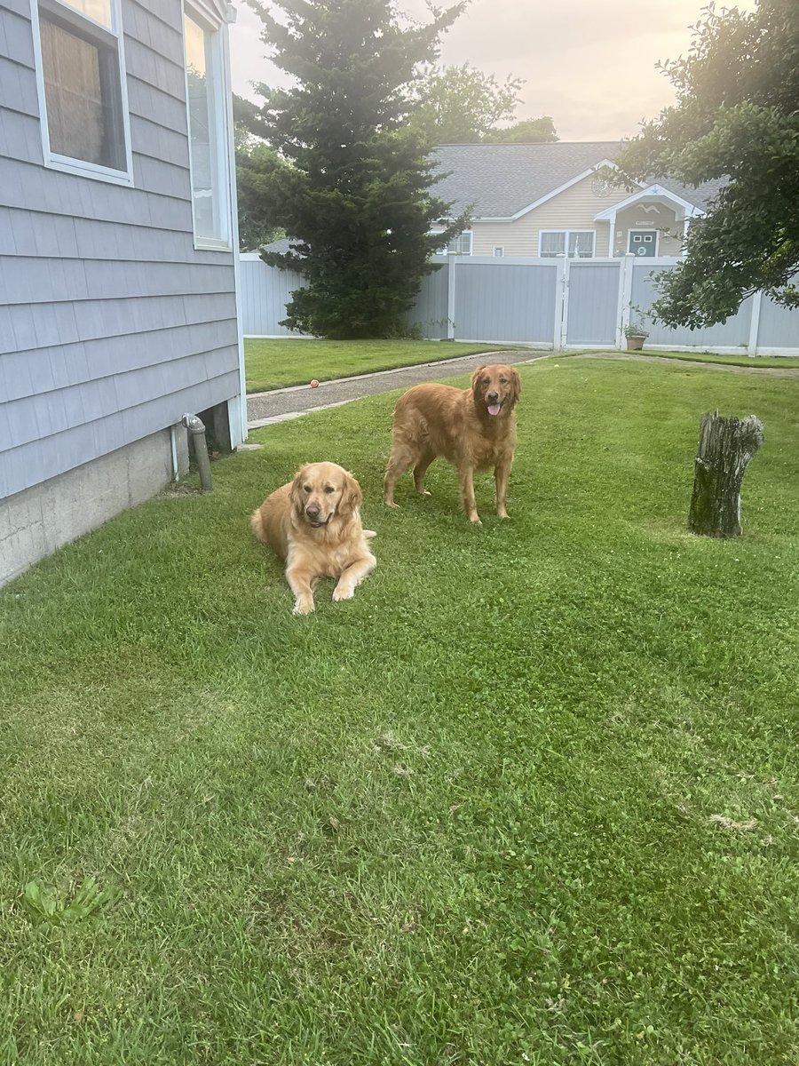 yeahkiddd's tweet photo. #goldensthebest https://t.co/BHTLliTMnt