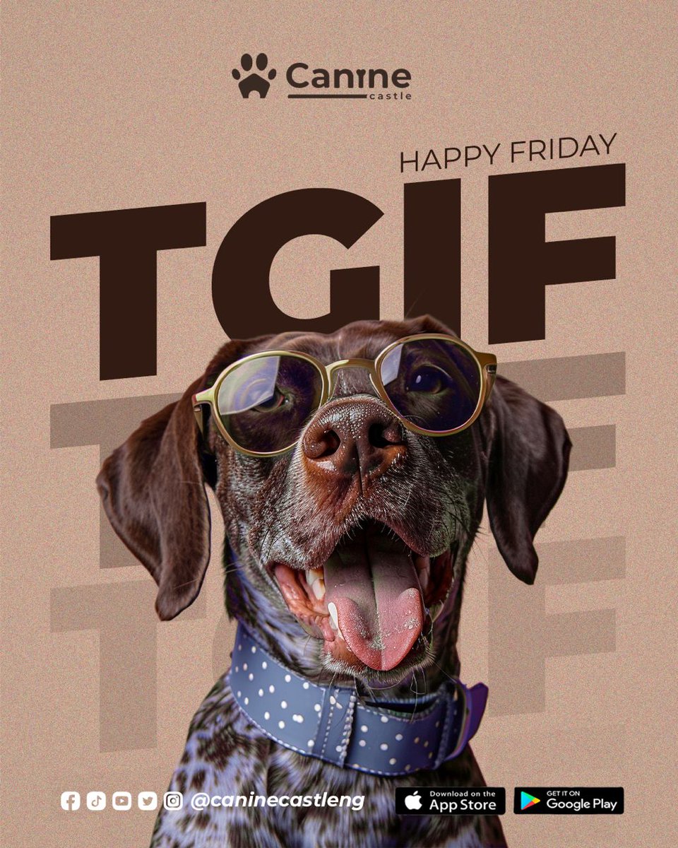 🐶 Fri-YAY = zoomies, cuddles, and paw-fect vibes. Drop a 🐾 if your weekend plans include your pup!

#FridayFeeling #WeekendWithDogs #CanineCastle