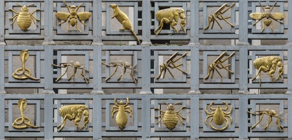 The latest in our LSHTM Rare Books series asks whether the snail is missing from our pantheon of gilded vectors of disease 🐌

This blogpost also looks at the work of helminthologist Robert Thomson Leiper (1881-1969)

📚 Read more here: bit.ly/3Gbe1Js #RareBooks #HistMed