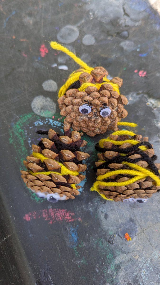 What a fantastic story to share at forest schools 'Bee Kind'. Look at  our amazing pine cone bees #CTSforestschool <a href="/CTS_Watford/">Cherry Tree Primary School</a> <a href="/headcherrytree/">Cherry Tree Headteacher</a> <a href="/SencoCTS/">Mrs Carrack</a>